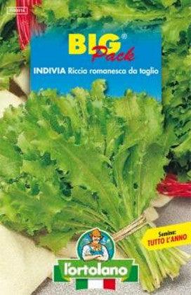 L'Ortolano BIG PACK INVIDIA RICCIA ROMANESCA DA TAGLIO - Sementi