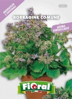 L'ortolano Borragine Comune - Busta Sementi Officinale