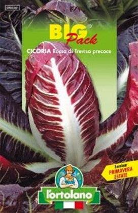 L'Ortolano CICORIA ROSSA DI TREVISO PRECOCE BIG PACK - Semi in busta