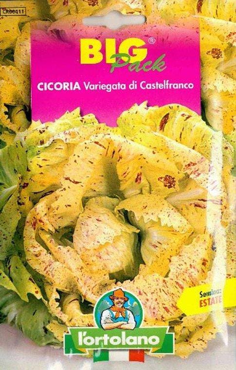 L'ortolano Cicoria Variegata Di Castelfranco Big Pack - Busta Sementi