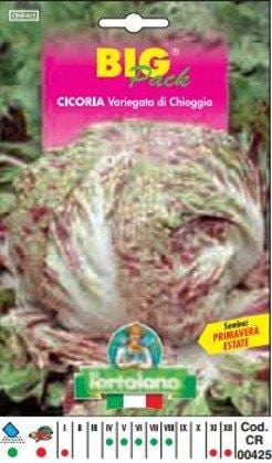 L'ortolano Cicoria Variegata Di Chioggia Big Pack - Busta Sementi