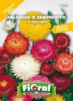 L'Ortolano HELICRISIO SEMPREVIVO MIX busta sementi