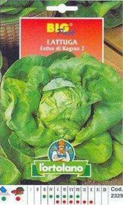 L'ortolano Lattuga Estiva Di Kagran 2 Big Pack - Busta Sementi