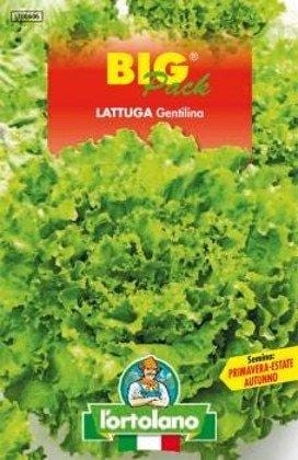 L'Ortolano LATTUGA GENTILINA BIG PACK - Sementi in Bustina