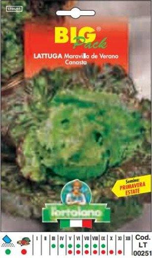 L'ortolano Lattuga Maravilla De Verano Canasta Big Pack - Busta Sementi