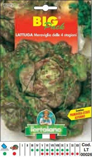 Meraviglia Delle Quattro Stagioni Big Pack - Busta Sementi - L'ortolano
