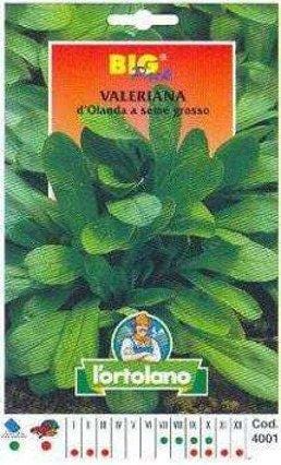 L'Ortolano VALERIANA D'OLANDA A SEME GROSSO BIG PACK - Seme in bustina