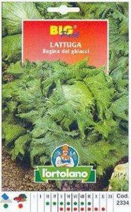 Lattuga Regina Dei Ghiacci - Big Pack - L'Ortolano