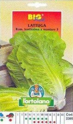 Lattuga Romana Lentissima A Montare 3 Big Pack - Busta Sementi