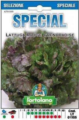 Lattuga Rouge Grenobloise Ibrido F1 - Busta Sementi