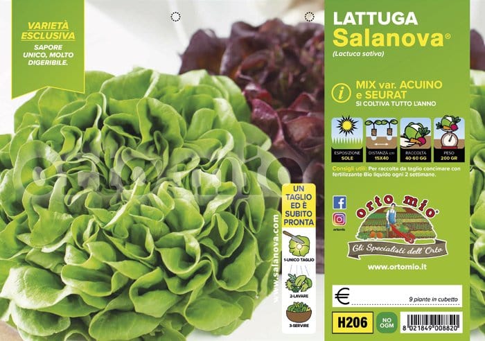 Lattuga salanova mix a foglia liscia Acuino e Seurat - Vaschetta 9 piante - Orto Mio