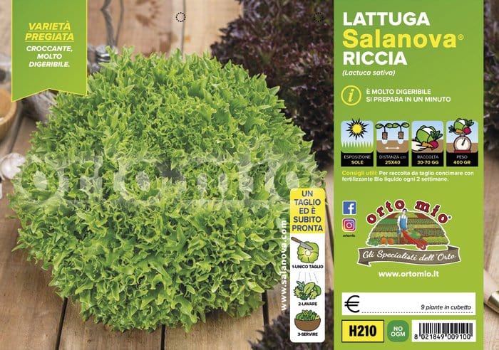 Lattuga salanova mix a foglia riccia Haflex ed Exographie - 9 piante - Orto Mio
