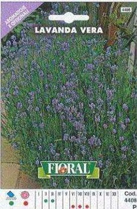 Lavanda Vera - Busta Sementi Aromatica