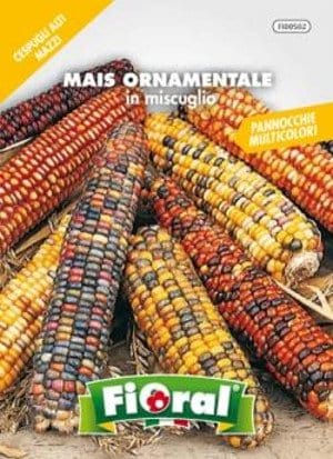 Mais Ornamentale in Mix - Semi da fiore - Fioral