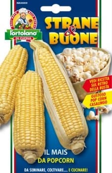 Mais Pop Corn Chef in semi - L'Ortolano in Cucina