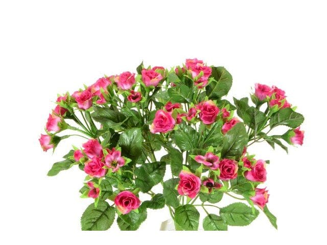 Mazzo di rose piccole fuxia - 20x30 cm