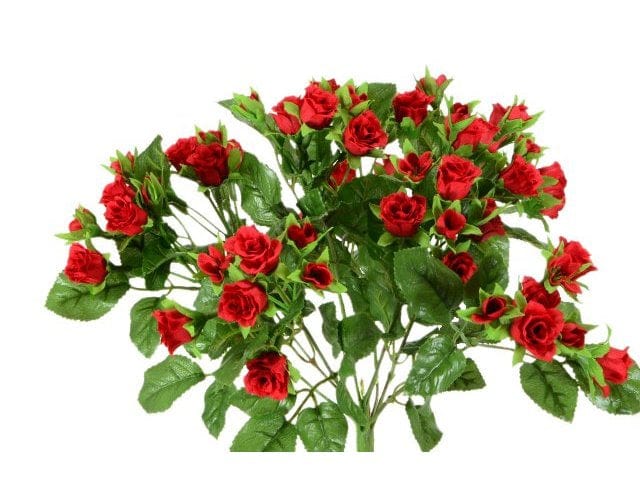 Mazzo di rose piccole rosse - 20x30 cm