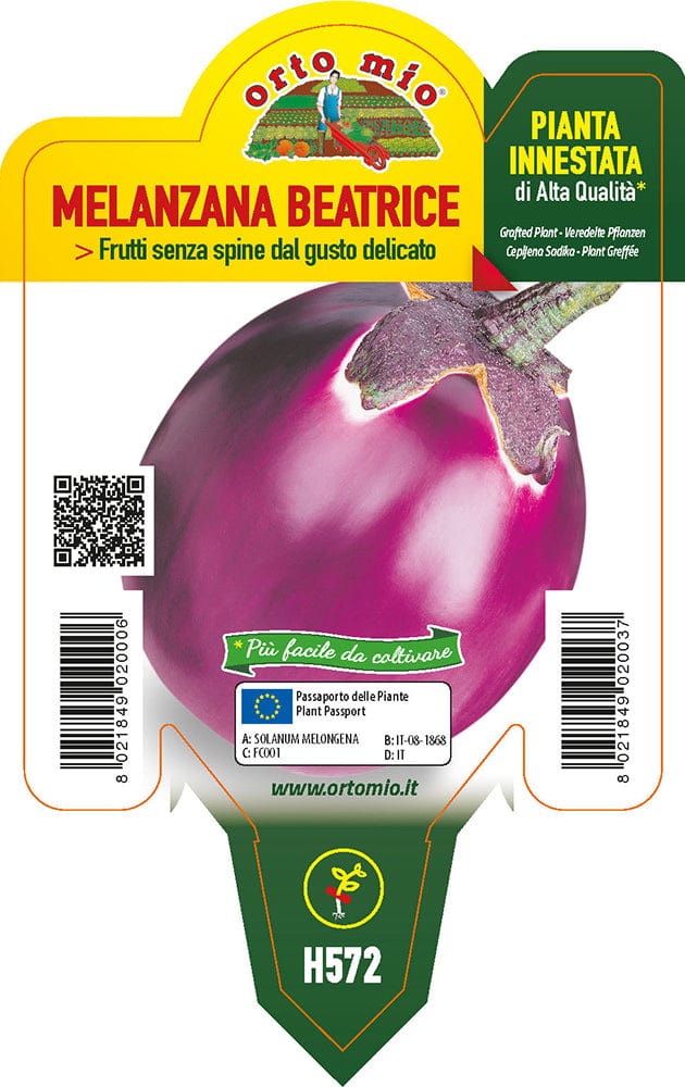 Melanzana Lilla Beatrice F1 - 1 pianta innestata v.10 cm - Orto Mio