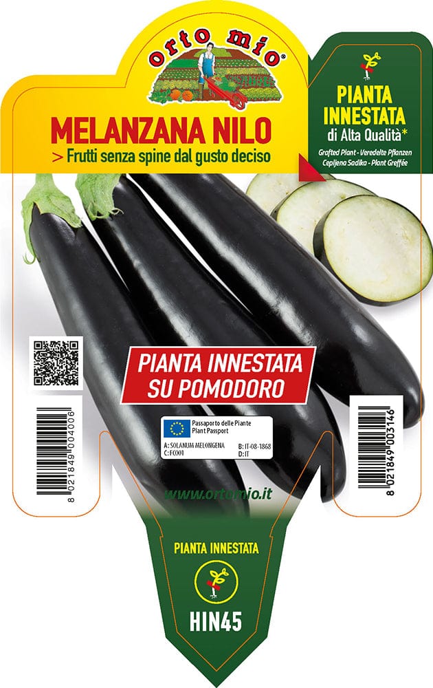 Melanzana lunga nera Innestata su Pomodoro - 1 pianta v.14 cm - Orto Mio