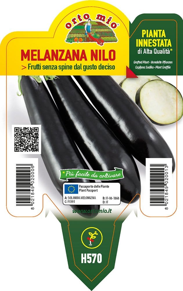 Melanzana lunga Nilo F1 - 1 pianta innestata v.10 cm - Orto Mio