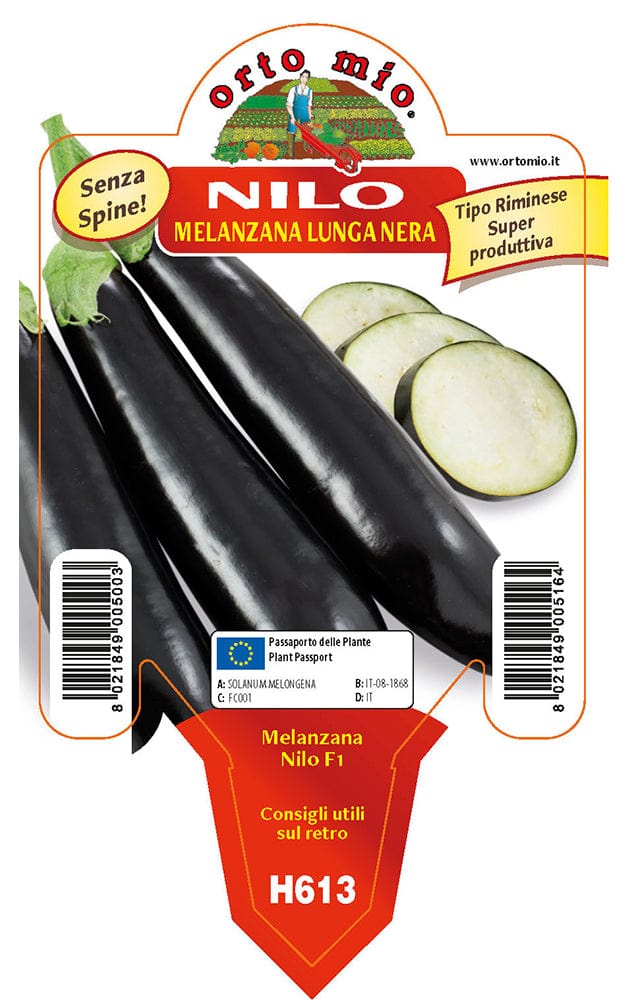 Melanzana lunga Nilo F1 - 1 pianta v.10 - Orto Mio
