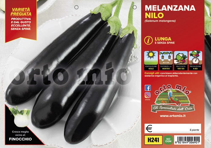 Melanzana lunga Nilo F1 - 6 piante - Orto Mio
