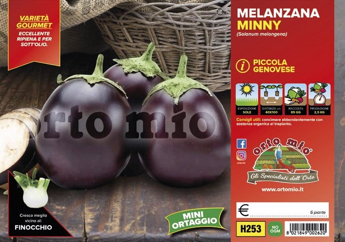 Melanzana piccola Genovese Minny F1 - 6 piante - Orto Mio