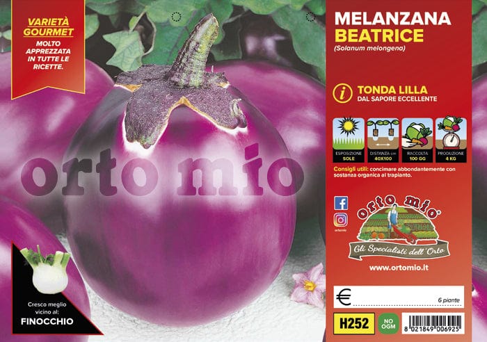 Melanzana tonda lilla Beatrice F1  - 6 piante - Orto Mio