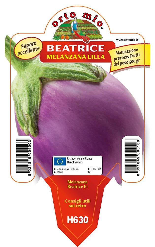 Melanzana tonda lilla Beatrice F1 - vaso da 10 cm - Orto Mio