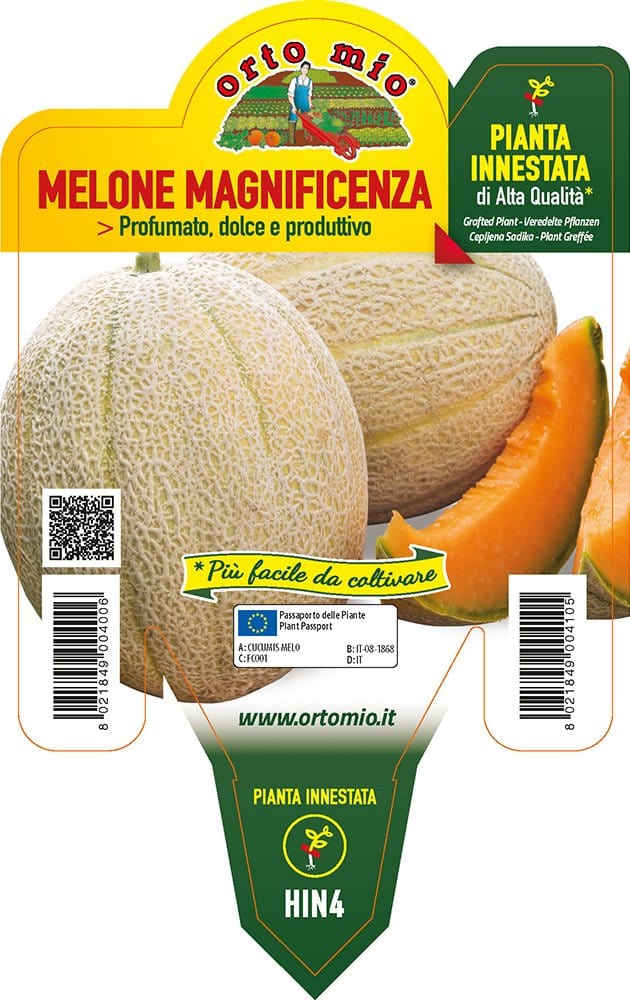 Melone retato con fetta Magnificenza F1 - 1 pianta innestata v.14 cm - Orto Mio