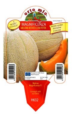 Melone retato con fetta Magnificenza F1 - 1 pianta v. 10 cm - Orto Mio