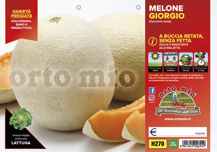 Melone retato senza fetta Giorgio F1 - 4 piante - Orto Mio