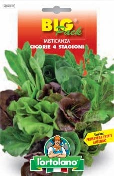 Misticanza 4 Stagioni di Cicorie e Lattughe - Big Pack - L'Ortolano