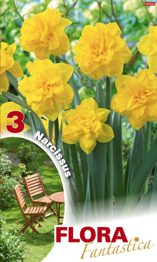 Narciso Botanici Doppi Gialli - Confezione da 3 bulbi