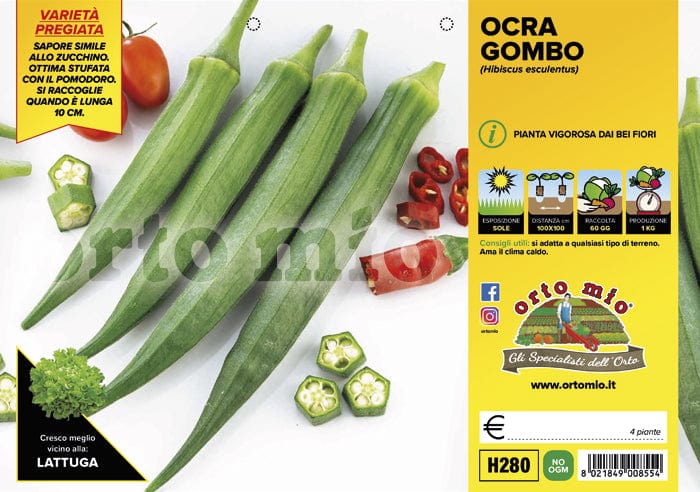 Ocra gombo Kamini - 4 piante - Orto Mio