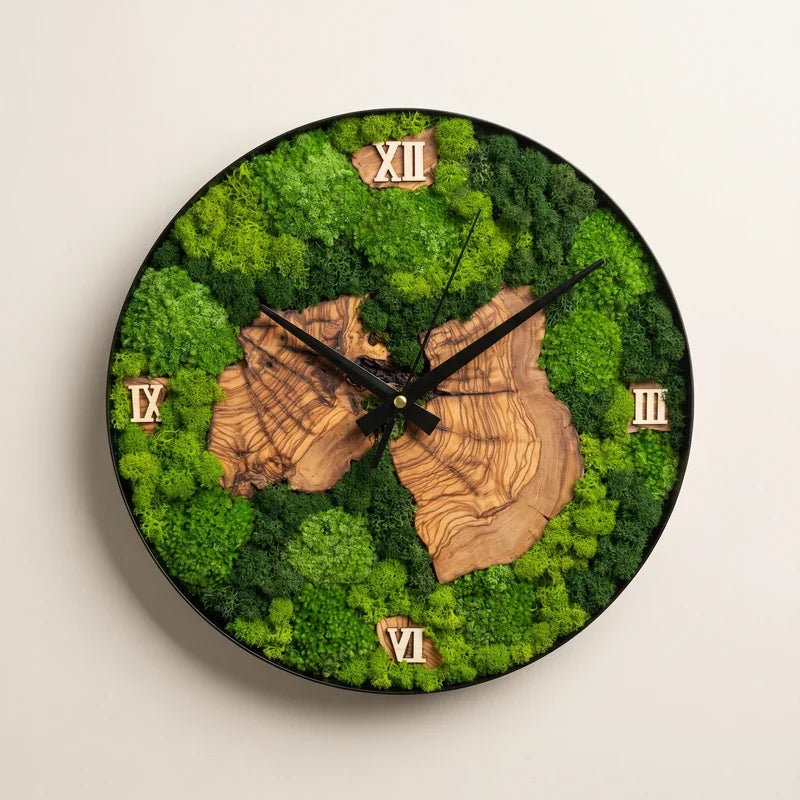 Nemus | Orologio Botanico in Muschio e Ulivo