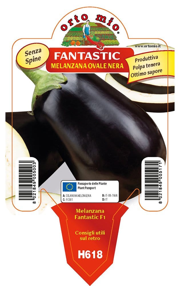 Orto Mio Melanzana Tonda Nera Fantastic F1 - Vaso 10 cm - Orto Mio