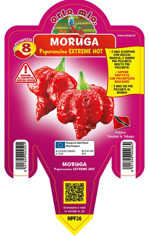 Peperoncino piccante EXTREME HOT Moruga - 1 pianta vaso 14 - Orto Mio