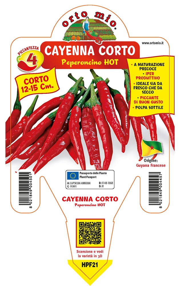 Peperoncino piccante HOT Cayenna corto Cheyenne F1 - 1 pianta v.14 cm - Orto Mio