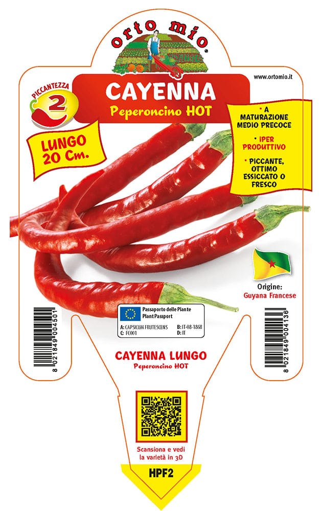 Peperoncino piccante HOT Cayenna lungo - 1 pianta v.14 cm - Orto Mio