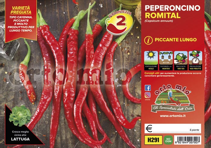 Peperoncino piccante HOT Cayenna lungo - 6 piante - Orto Mio