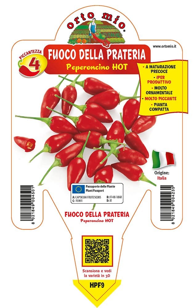 Peperoncino piccante HOT Fuoco della prateria - 1 pianta v.14 cm - Orto Mio