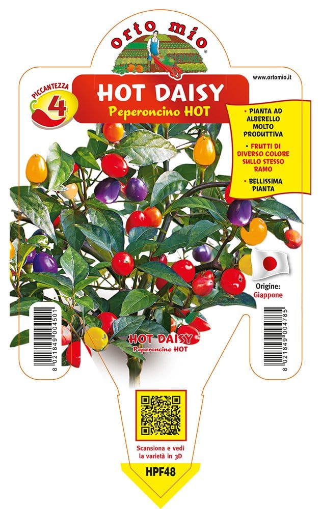 Peperoncino piccante HOT Hot Daisy CAP 1546 - 1 pianta v.14 cm - Orto Mio