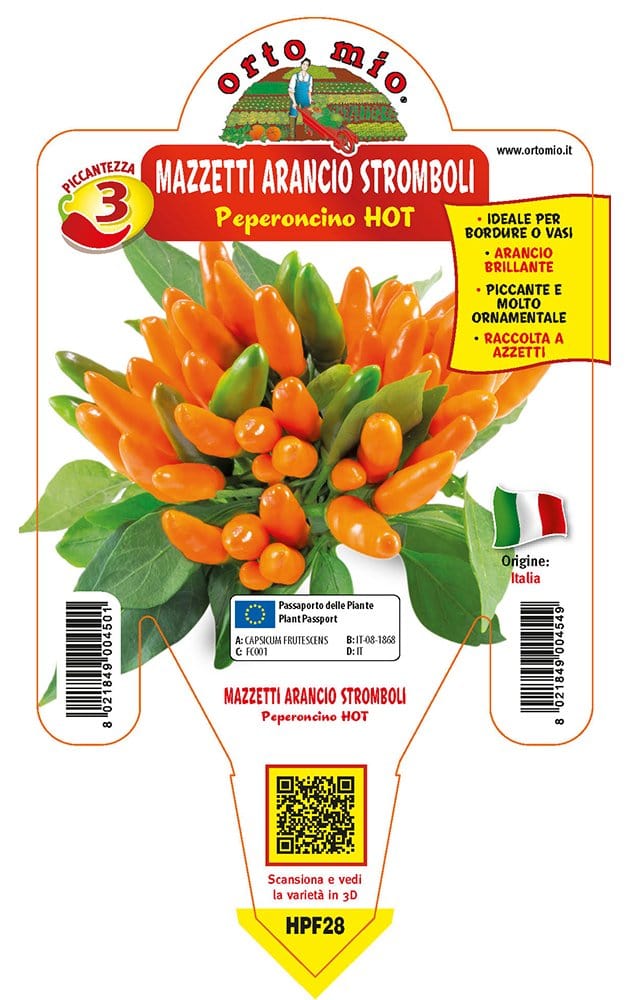 Peperoncino piccante HOT mazzetti arancio Stromboli - 1 pianta v.14 cm - Orto Mio