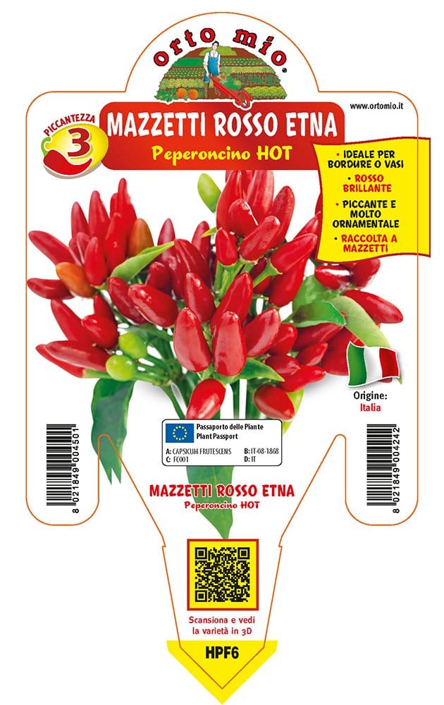 Peperoncino piccante HOT mazzetti rosso Etna - 1 pianta v.14 cm - Orto Mio
