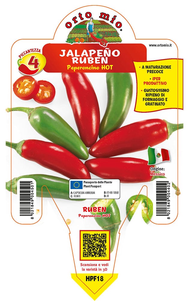 Peperoncino piccante HOT Messicano Jalapeño Ruben - 1 pianta v.14 cm - Orto Mio