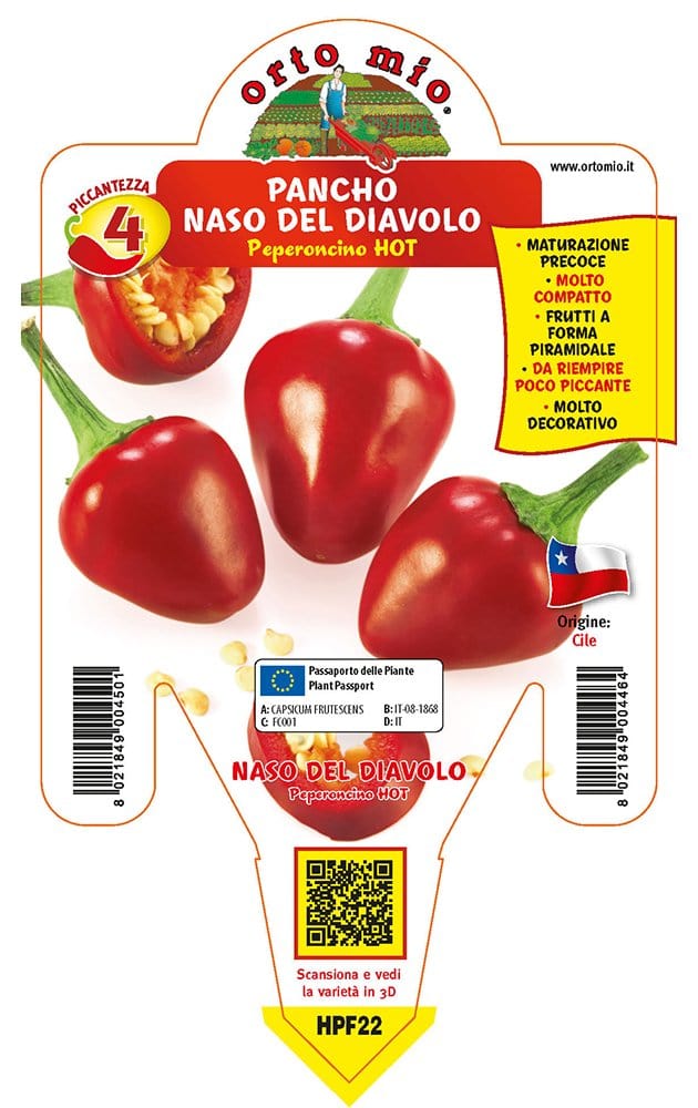 Peperoncino piccante HOT Pancho Naso del Diavolo - 1 pianta v.14 cm - Orto Mio