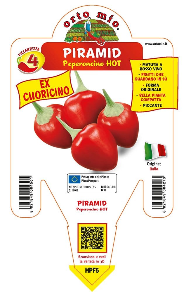 Peperoncino piccante HOT Piramid (ex Cuoricino) - 1 pianta vaso 14 cm - Orto Mio