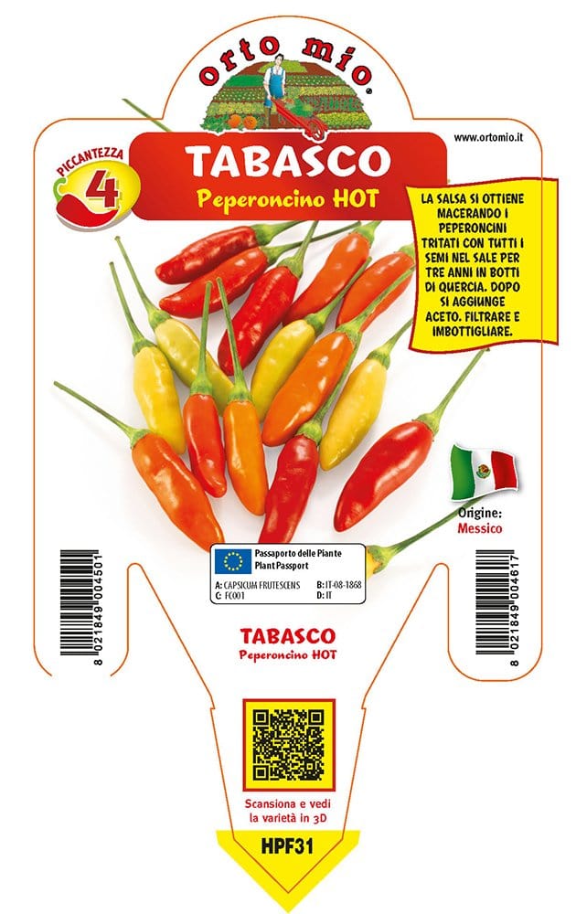 Peperoncino piccante HOT Tabasco - 1 pianta v.14 cm - Orto Mio