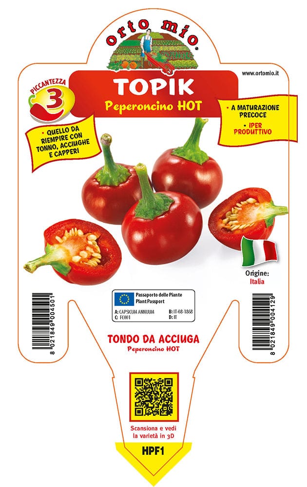 Peperoncino piccante HOT tondo da acciuga Topik F1 - 1 pianta v.14 cm - Orto Mio